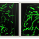 Image for article titled More Evidence That Youthful Blood Can Reverse The Effects Of Aging